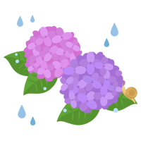 ピンクと紫の紫陽花とカタツムリのイラスト 無料イラスト素材のillalet
