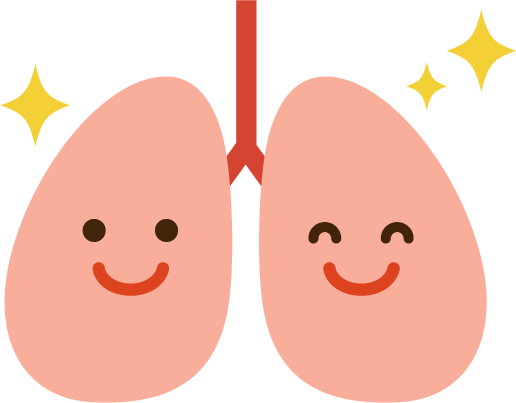 肺のイラスト（健康）