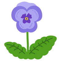 紫のパンジーのイラスト
