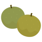 複数の梨のイラスト