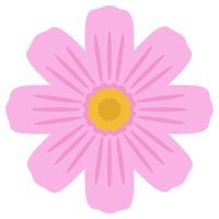 ピンク色のコスモスの花のイラスト