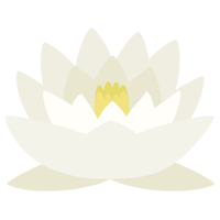 白色の睡蓮（スイレン）の花のイラスト1