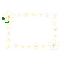 プルメリアの花のフレームのイラスト