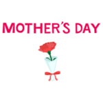 母の日「MOTHER'S DAY」の文字とカーネーションのイラスト1