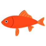 赤い金魚のイラスト2