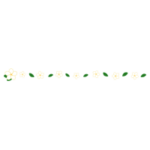 プルメリアの花のライン装飾のイラスト