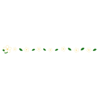 プルメリアの花のライン装飾のイラスト
