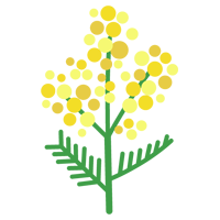 ミモザの花のイラスト1