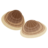 はまぐりのイラスト1