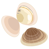 はまぐりのイラスト2