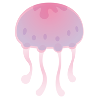 クラゲのイラスト（ピンク）
