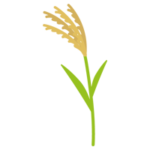 ススキのイラスト1