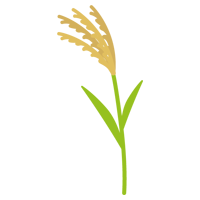 ススキのイラスト1
