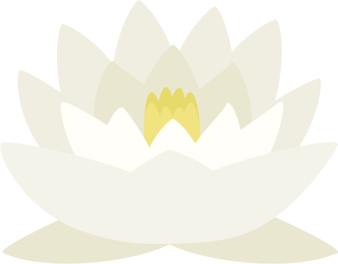白色の睡蓮（スイレン）の花のイラスト1 