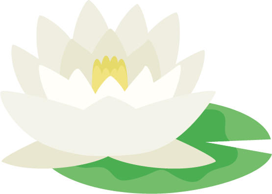 白色の睡蓮（スイレン）の花のイラスト2