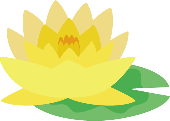 黄色の睡蓮（スイレン）の花のイラスト2