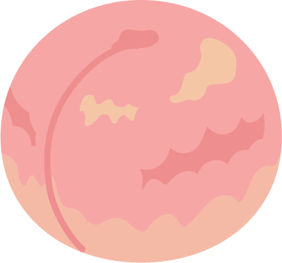 桃のイラスト（ピンク）