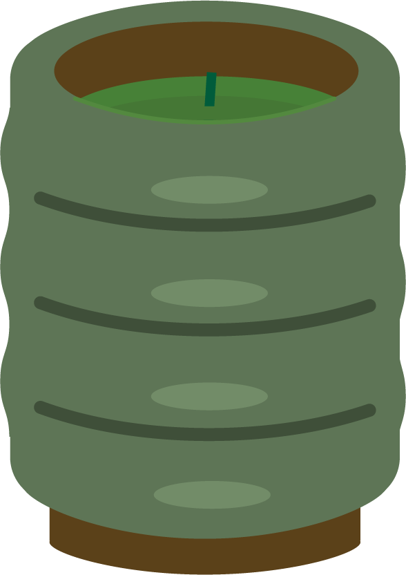 緑茶のイラスト（茶柱）1