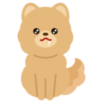 キラキラした目で待てをするポメラニアンのイラスト